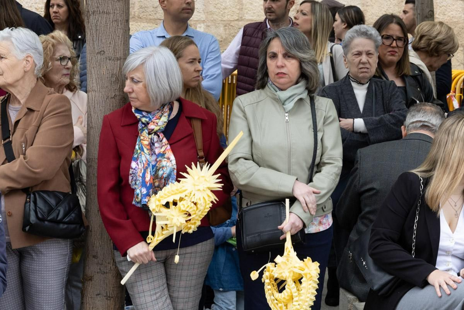 Los jiennenses se echan a la calle para presenciar la primera de las procesiones de la jornada: la Borriquilla (II)