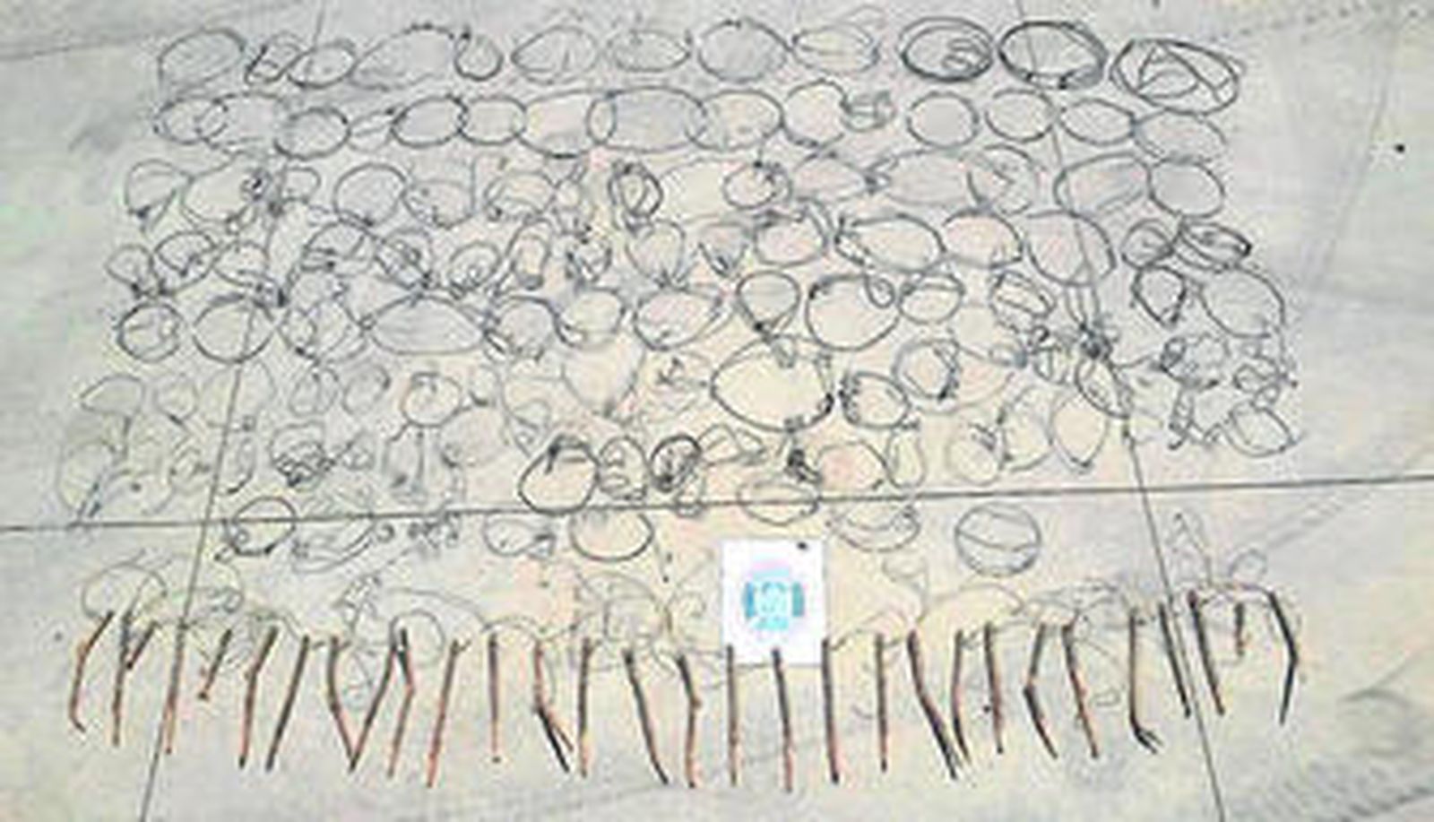 Imagen de algunos de los útiles de caza requisados.