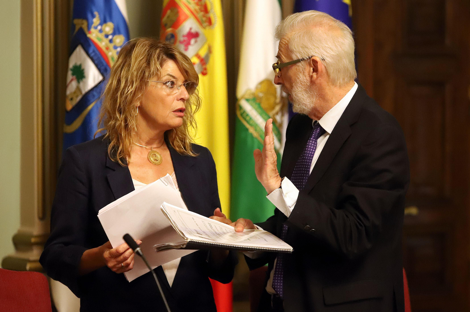 Imágenes del pleno municipal del Ayuntamiento de Huelva