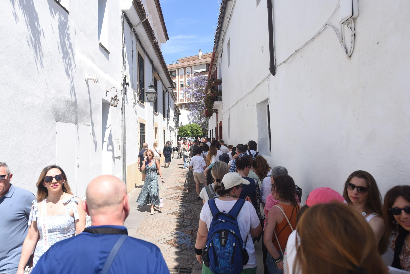 El último sábado de Patios de Córdoba en Alcázar Viejo, en imágenes