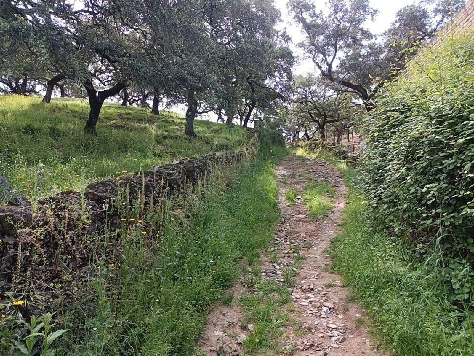 Las fotos de la ruta circular entre Aracena y Corteconcepción