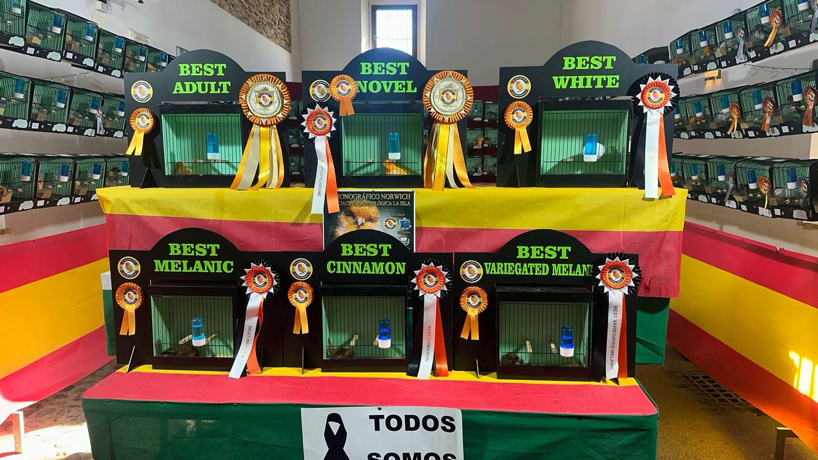 Imagen de los ejemplares ganadores.