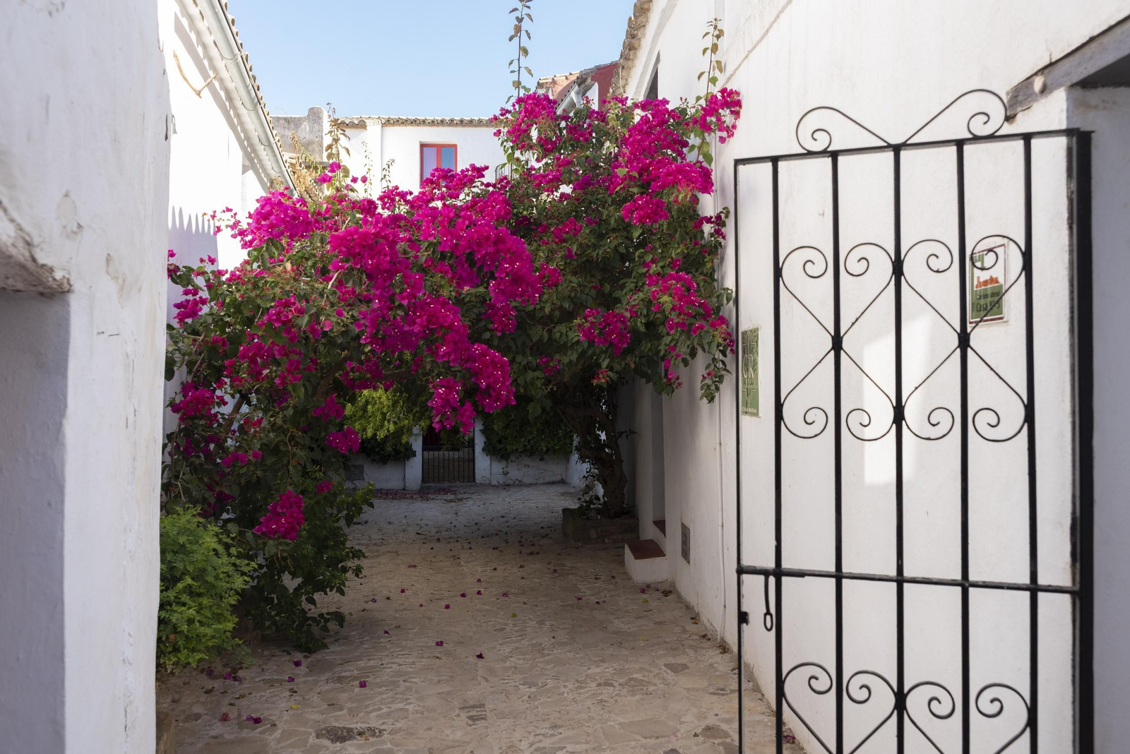 Fotos del Castillo de Castellar de la Frontera