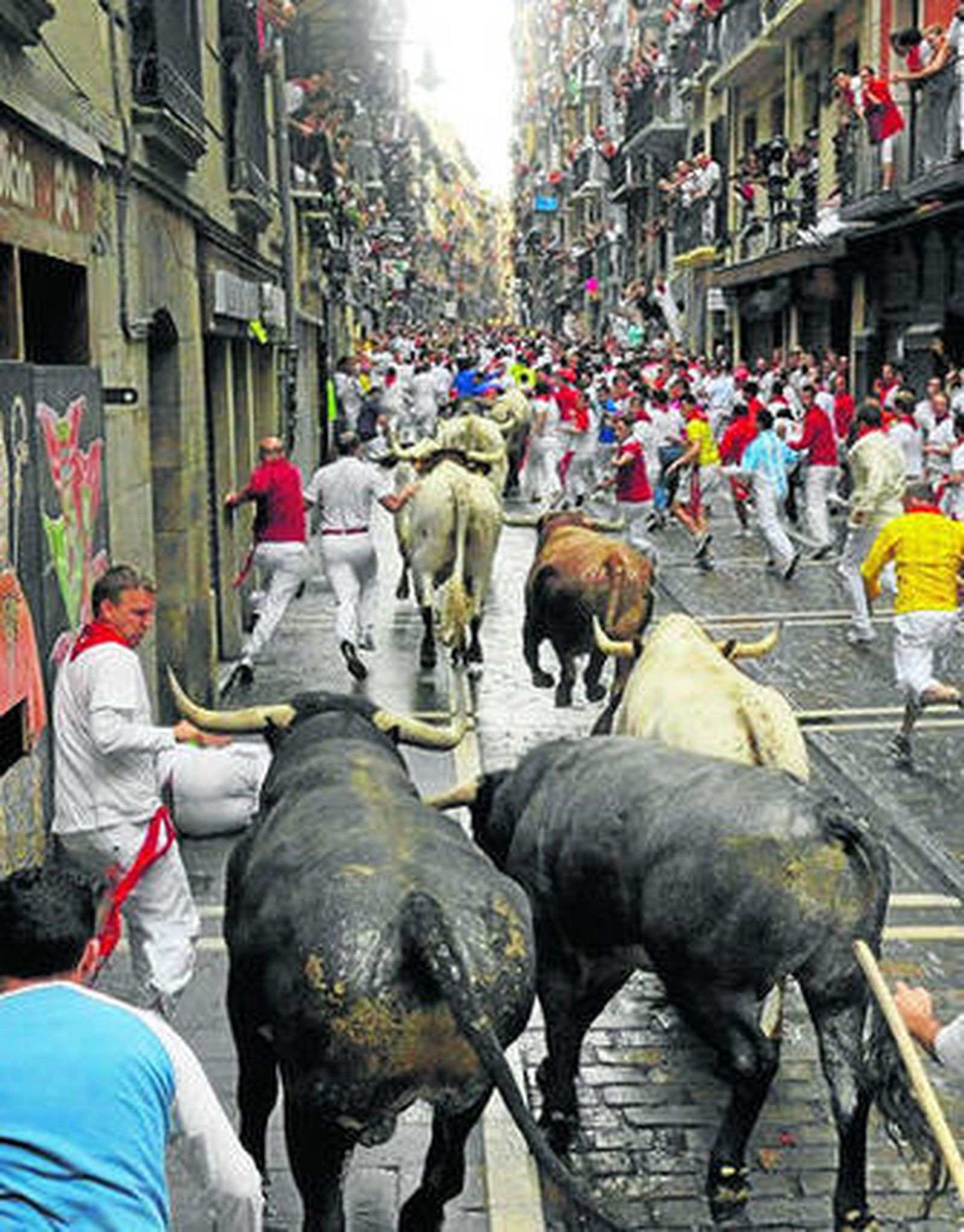 La emoción de los miuras