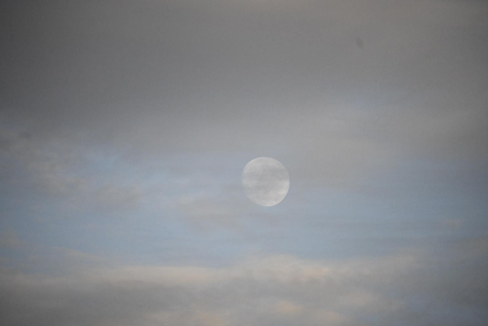 Un paseo por el Muelle del Tinto de Huelva, en imágenes