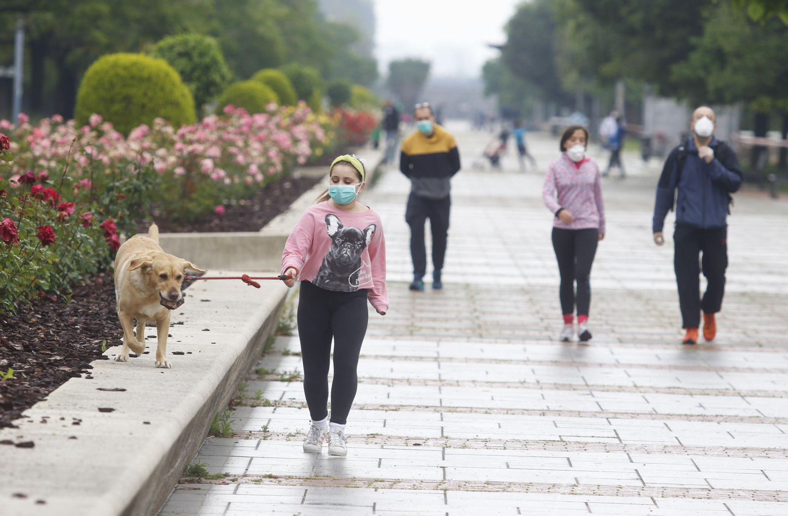 Una chica pasea su perro por el Vial, durante la mañana de este domingo. Una chica pasea su perro por el Vial, durante la mañana de este domingo.
