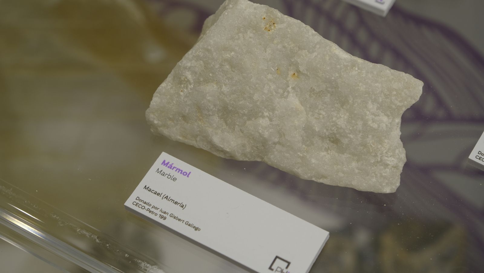 Las mejores imágenes del Pabellón de Historia Natural de la UAL