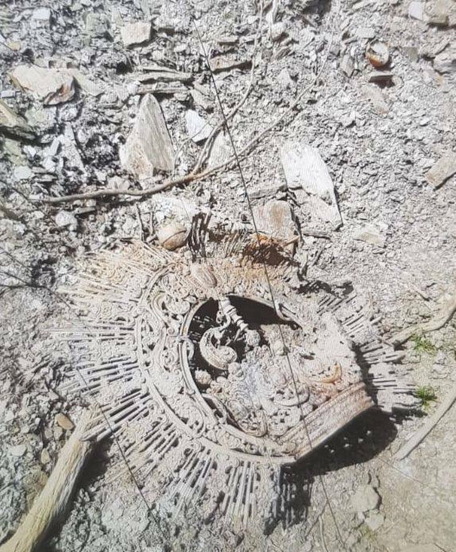 Corona en el pantano