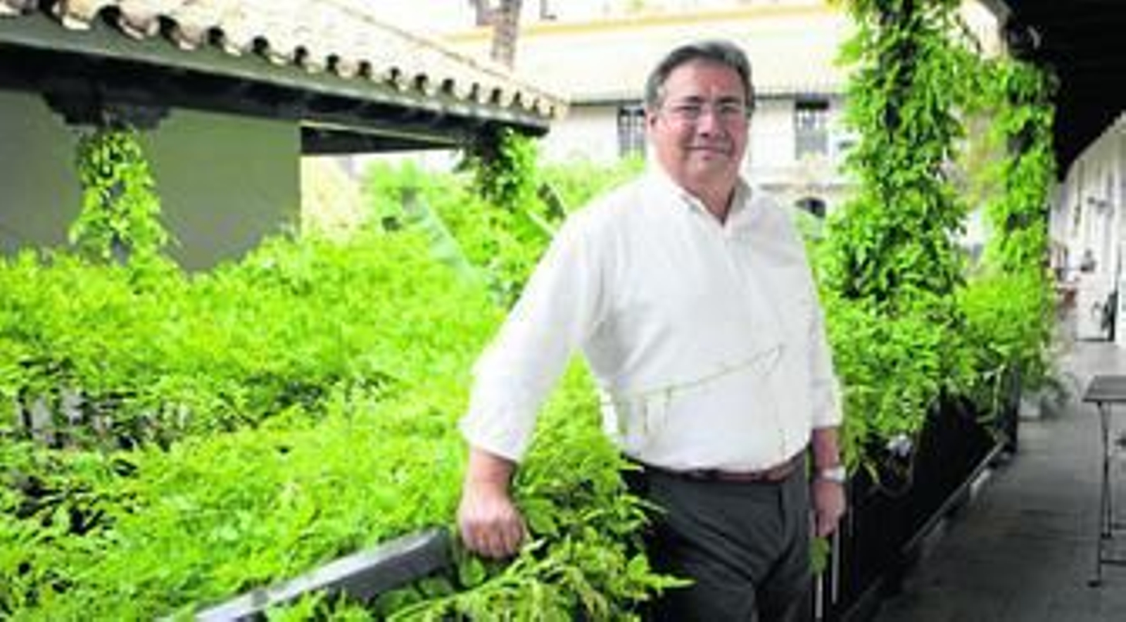 El portavoz municipal del PP y candidato a la Alcaldía, Juan Ignacio Zoido, en una de las galerías del Corral del Conde.