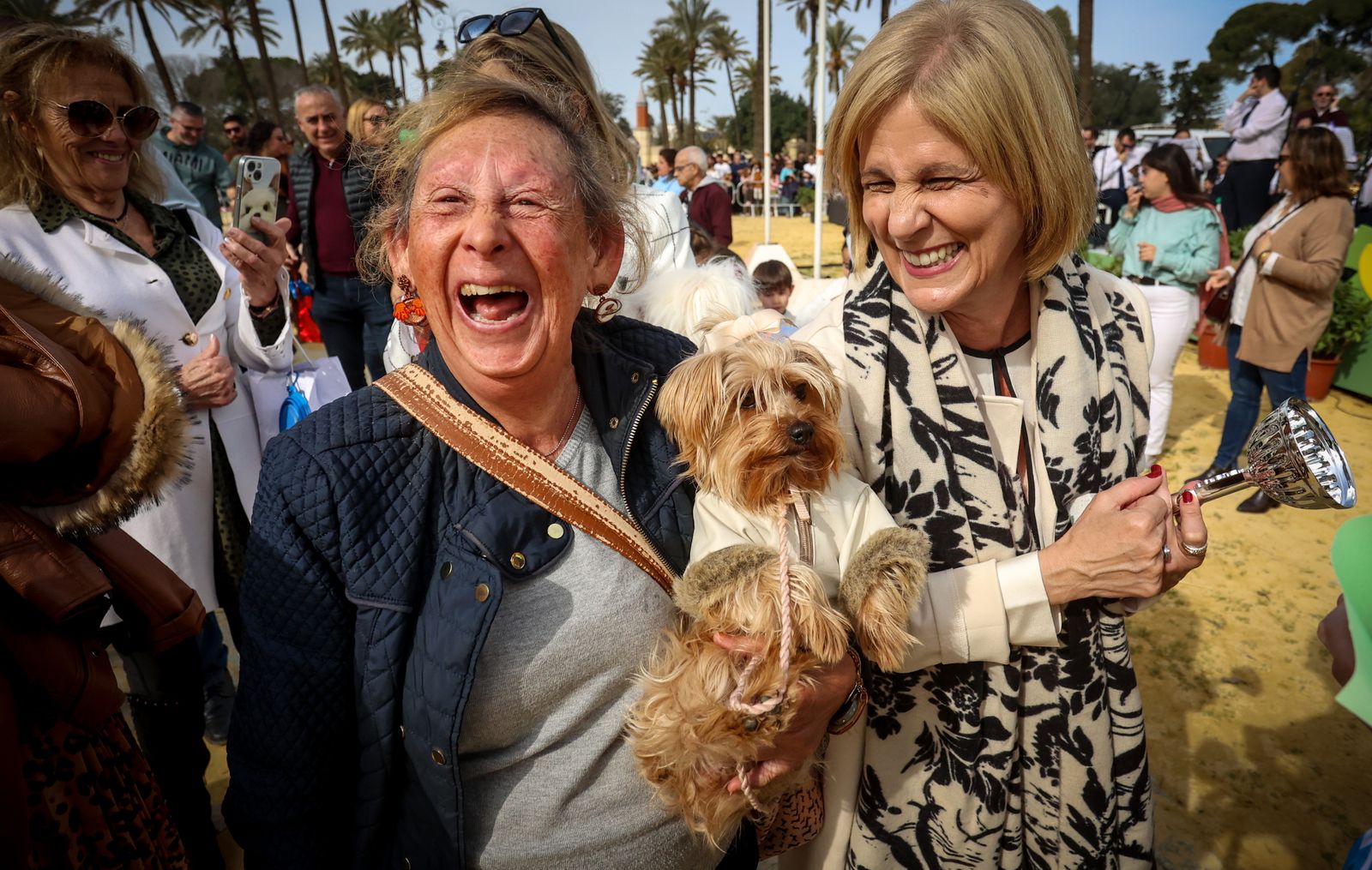 Fiesta de san Antón 2024 en Jerez