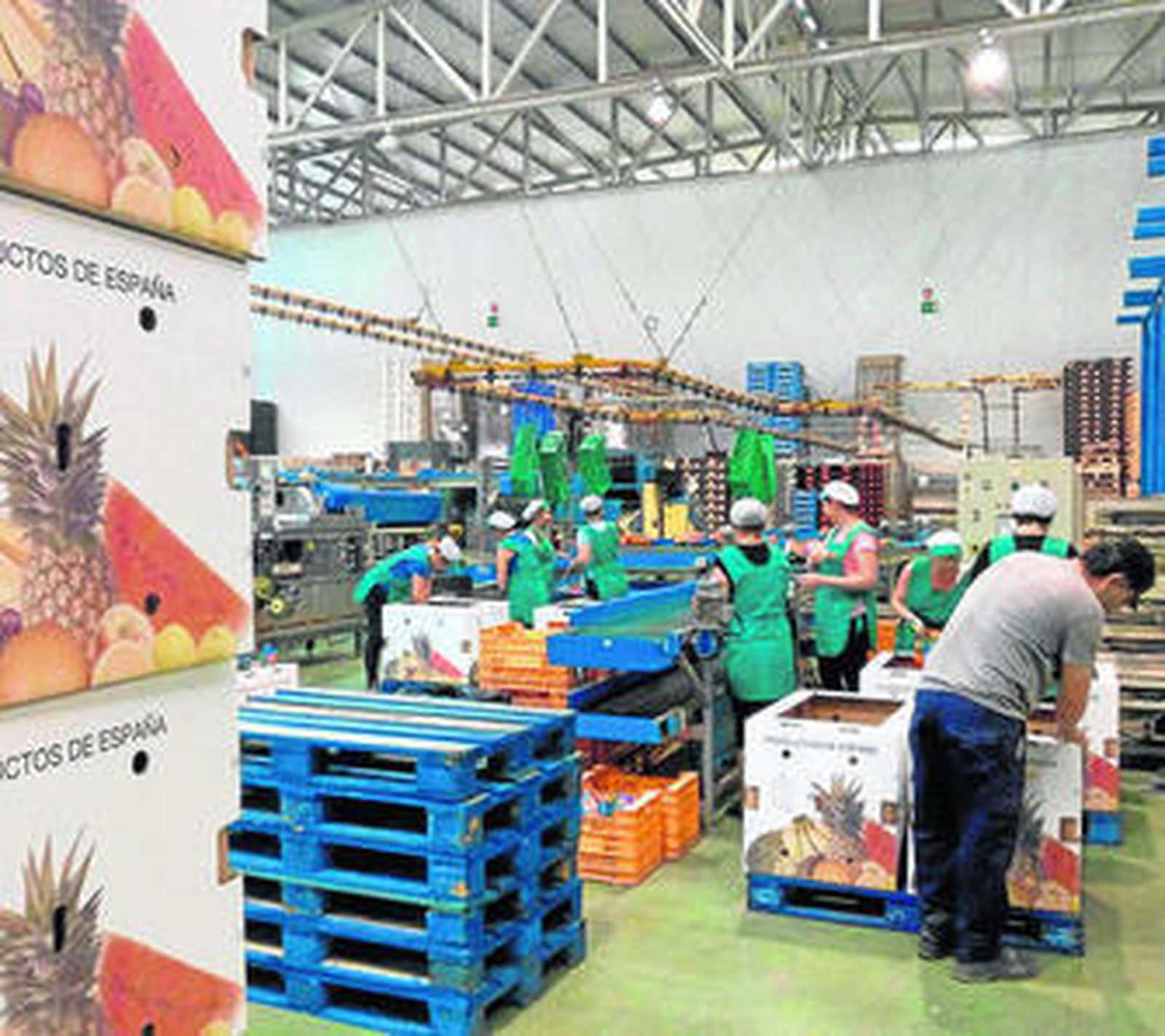 Actividad en una planta palmeña.