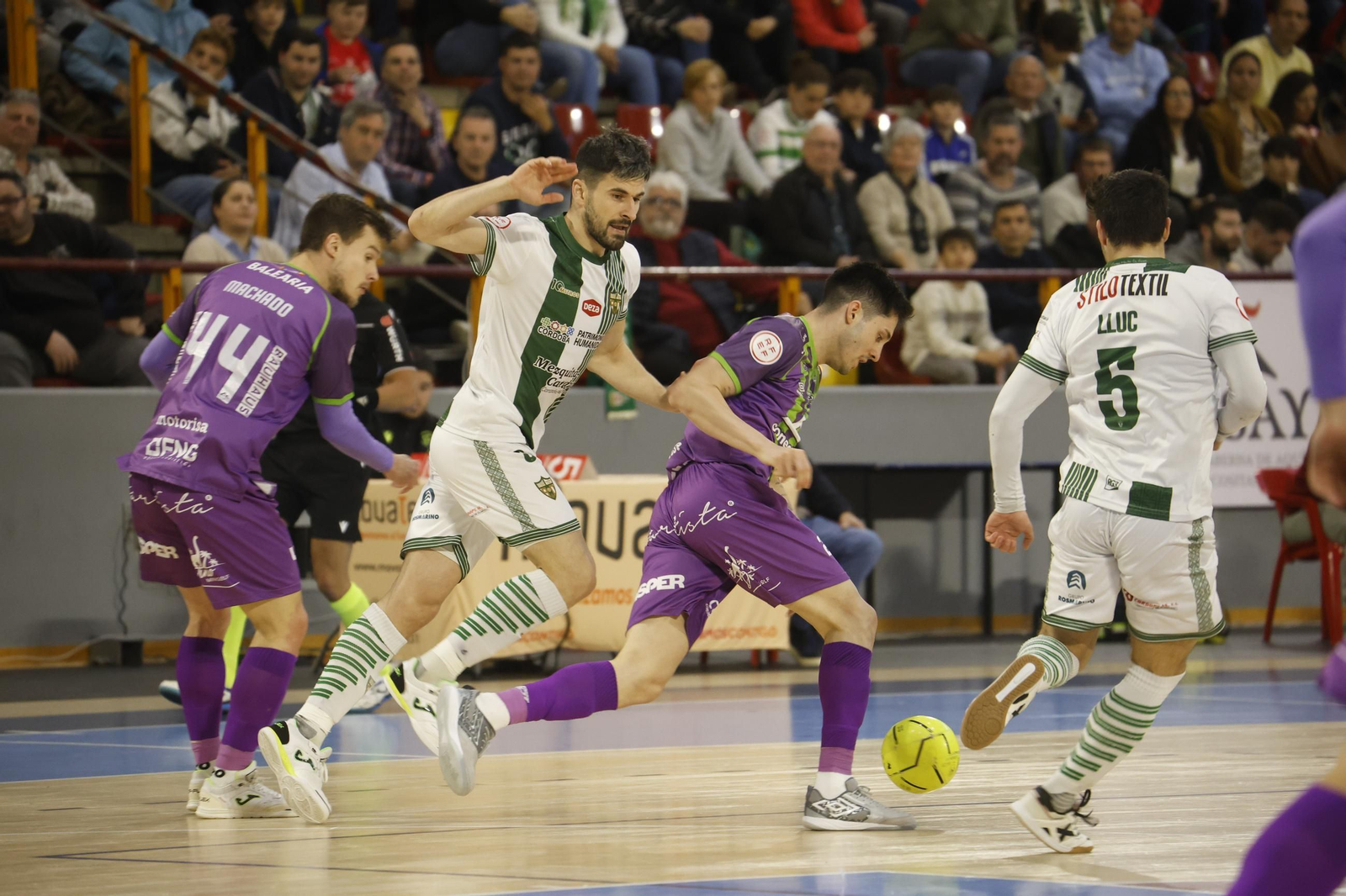 Las mejores fotos del ambiente en Vista Alegre para el Córdoba Futsal - Palma.