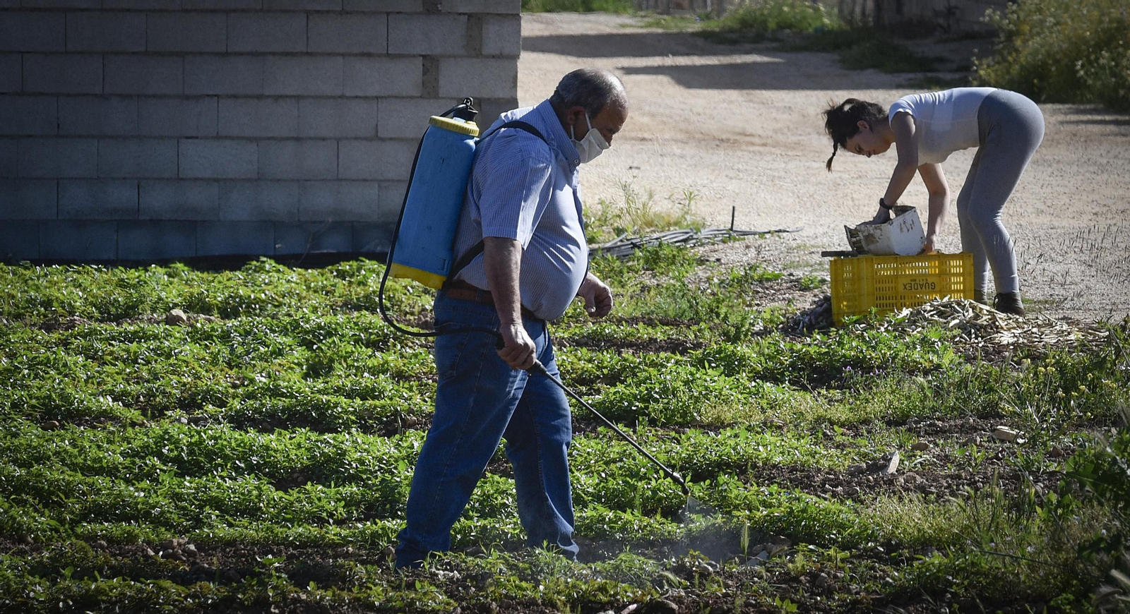 La resistencia en los pueblos de Sevilla al Coronavirus: Lantejuela
