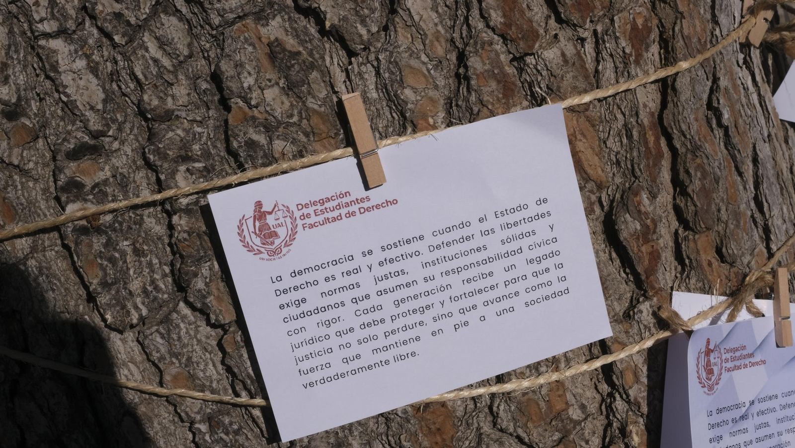 El árbol de la democracia de la Universidad de Almería, en imágenes