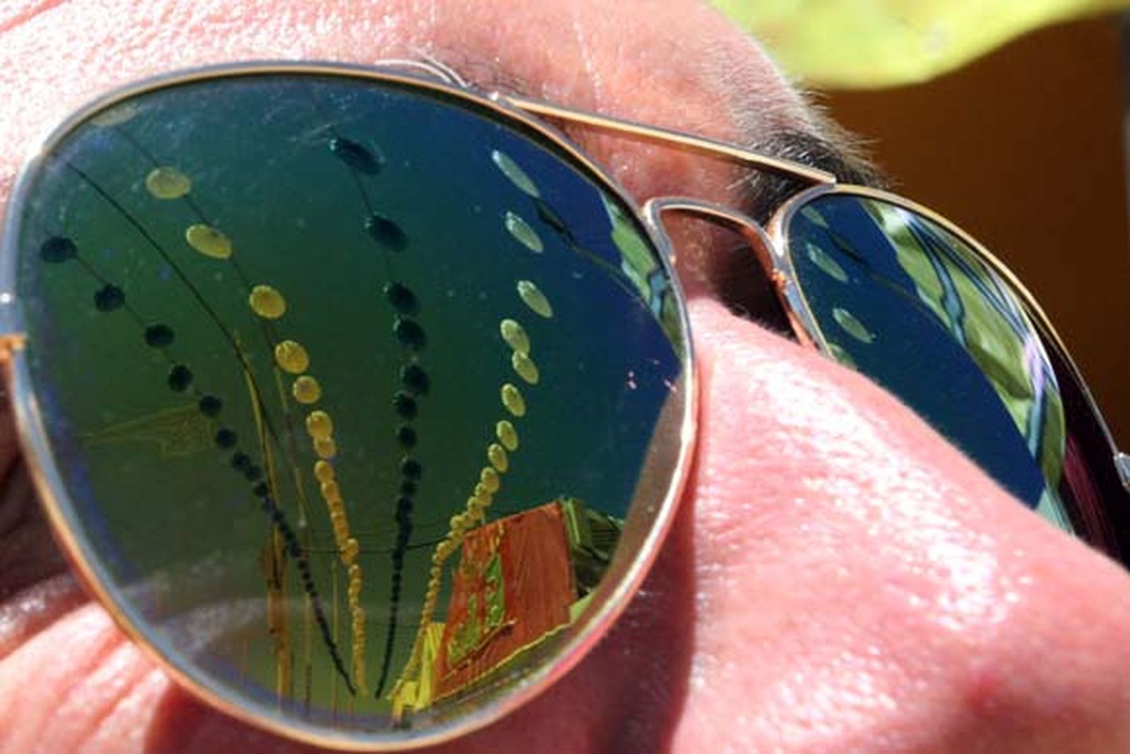 El Real estuvo al completo durante toda la jornada de feria

Foto: Paco Guerrero