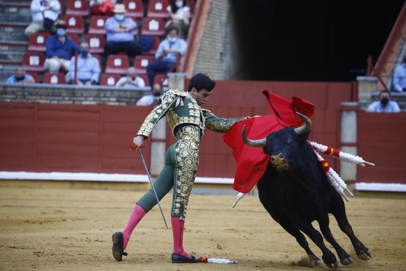 Las fotografías de la novillada con picadores de la Feria Taurina de Córdoba