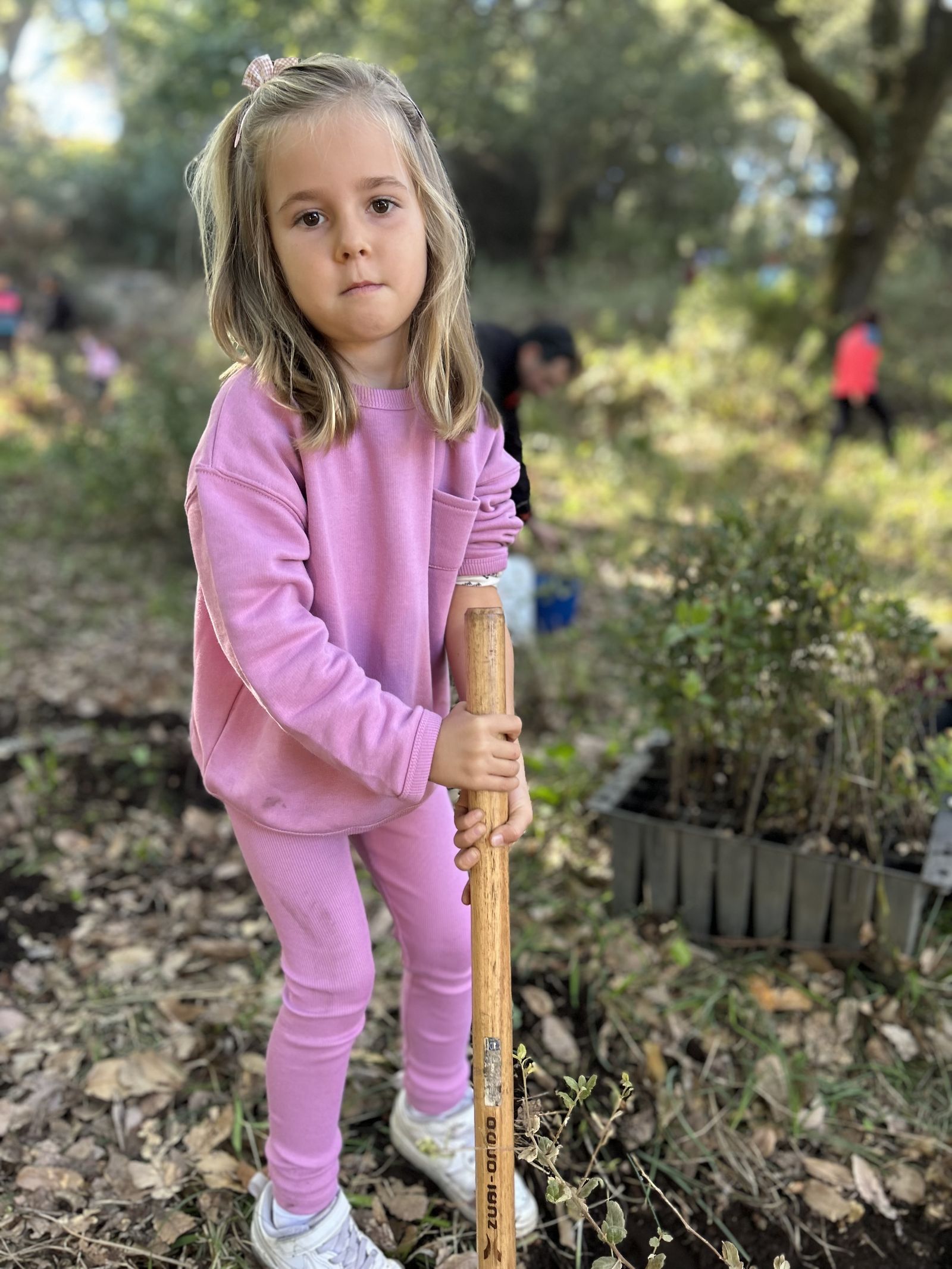 Jornada de reforestación en El Palancar por trabajadores de Acerinox, en imágenes