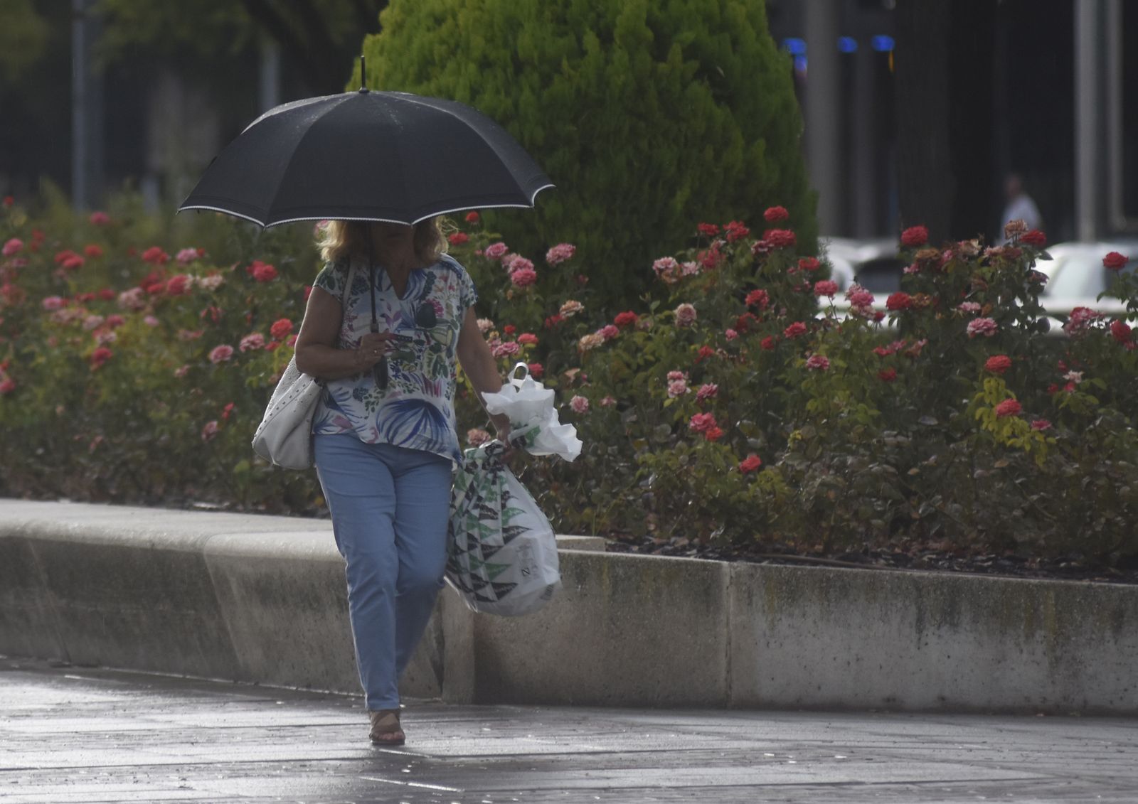 Las mejores imágenes de la lluvia en Córdoba