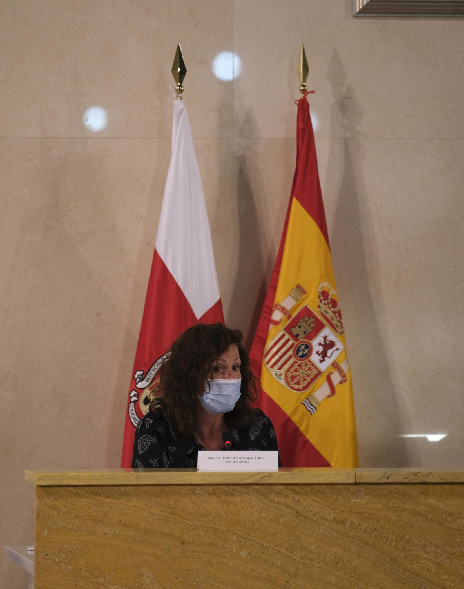 Fotogalería pleno ordinario del Ayuntamiento de Almería