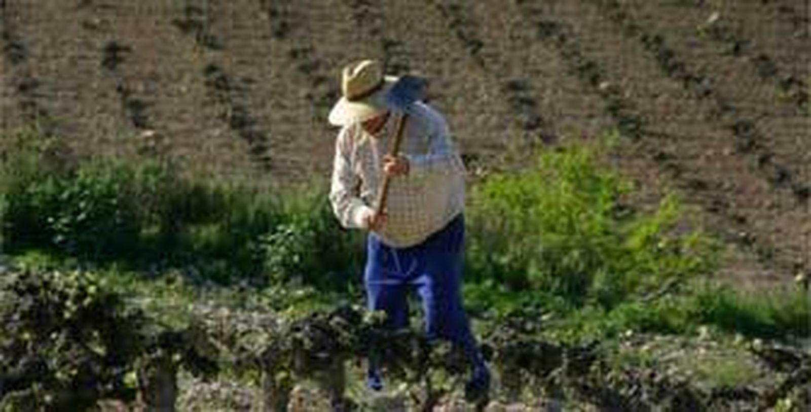 Bruselas dará una ayuda de 125 millones para paliar las pérdidas por el embargo ruso