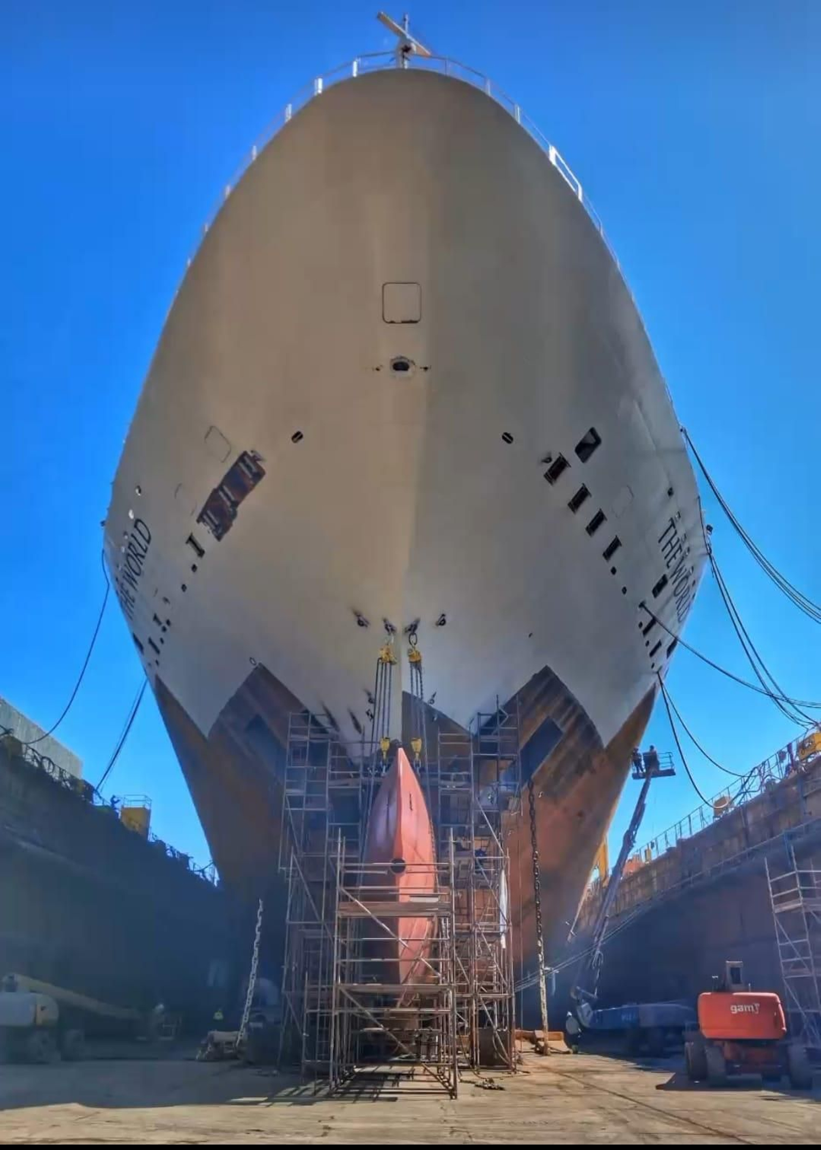 La colocación es una operación delicada sólo válida para especistas.