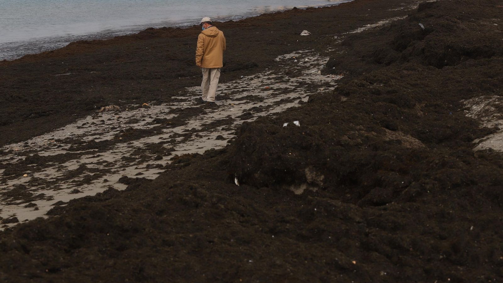 Estado de la playa de Poniente tras el temporal de Levante.