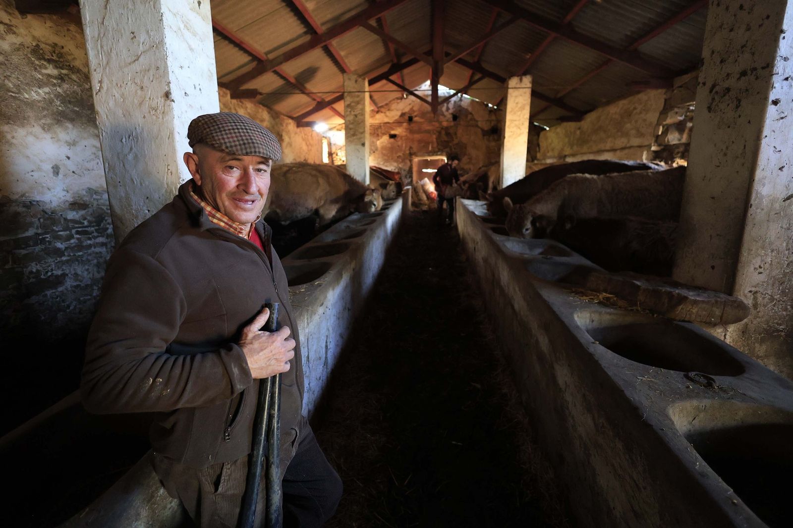 Las fotografías de la ganadería de Luis Benítez en Tarifa