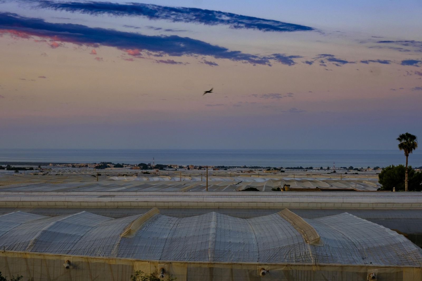 Invernaderos solares.