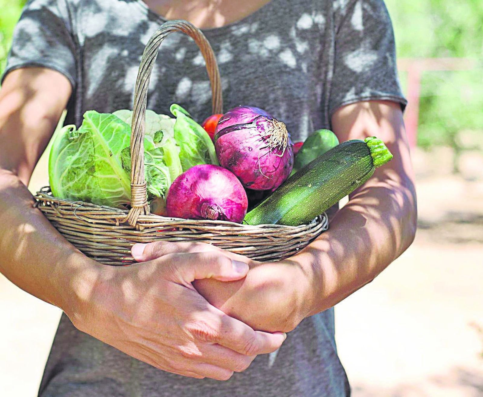 La producción ecológica lidia mucho mejor con la sequía