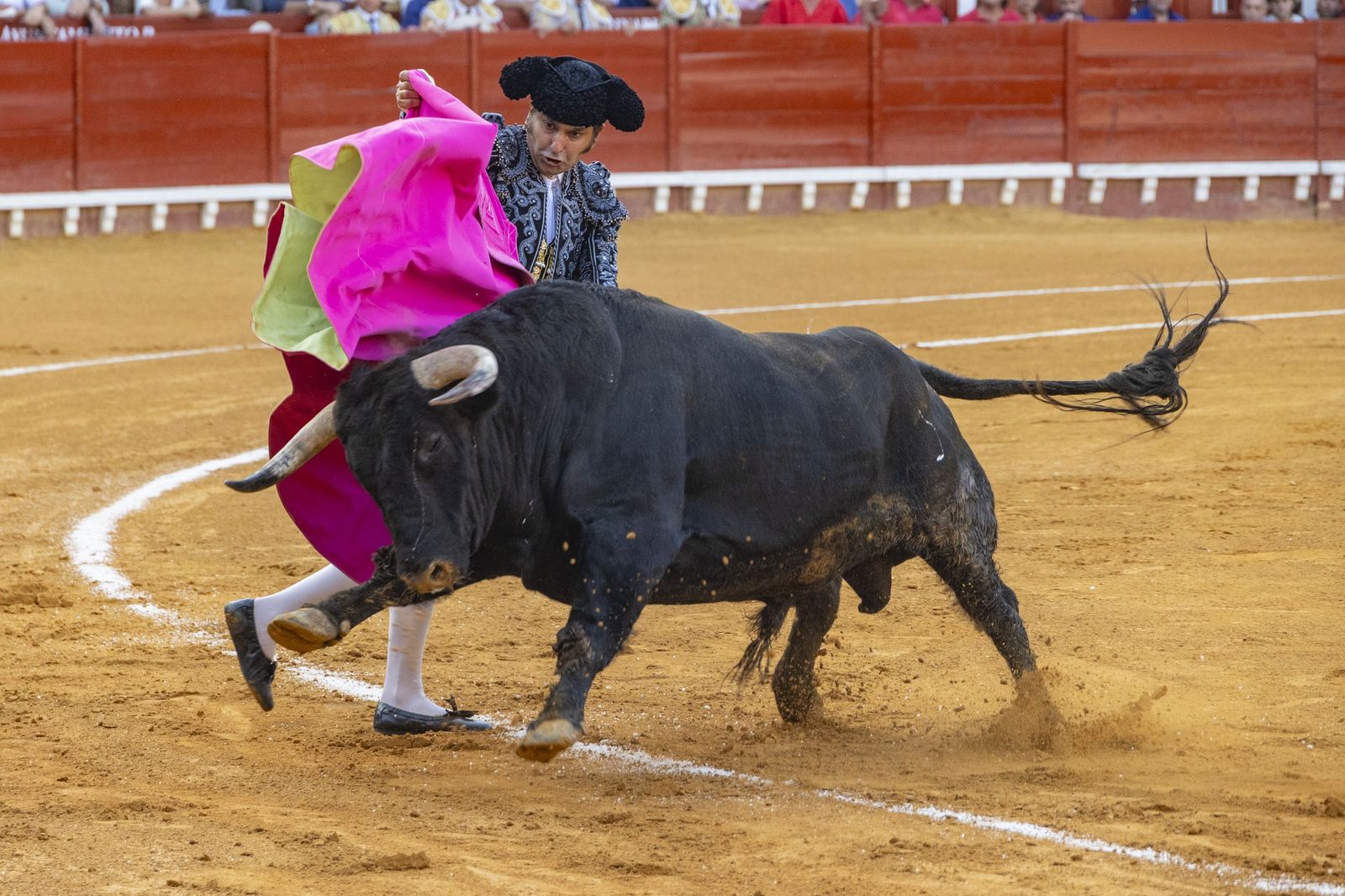En imágenes, la última corrida de toros del verano en la plaza de El Puerto de Santa María