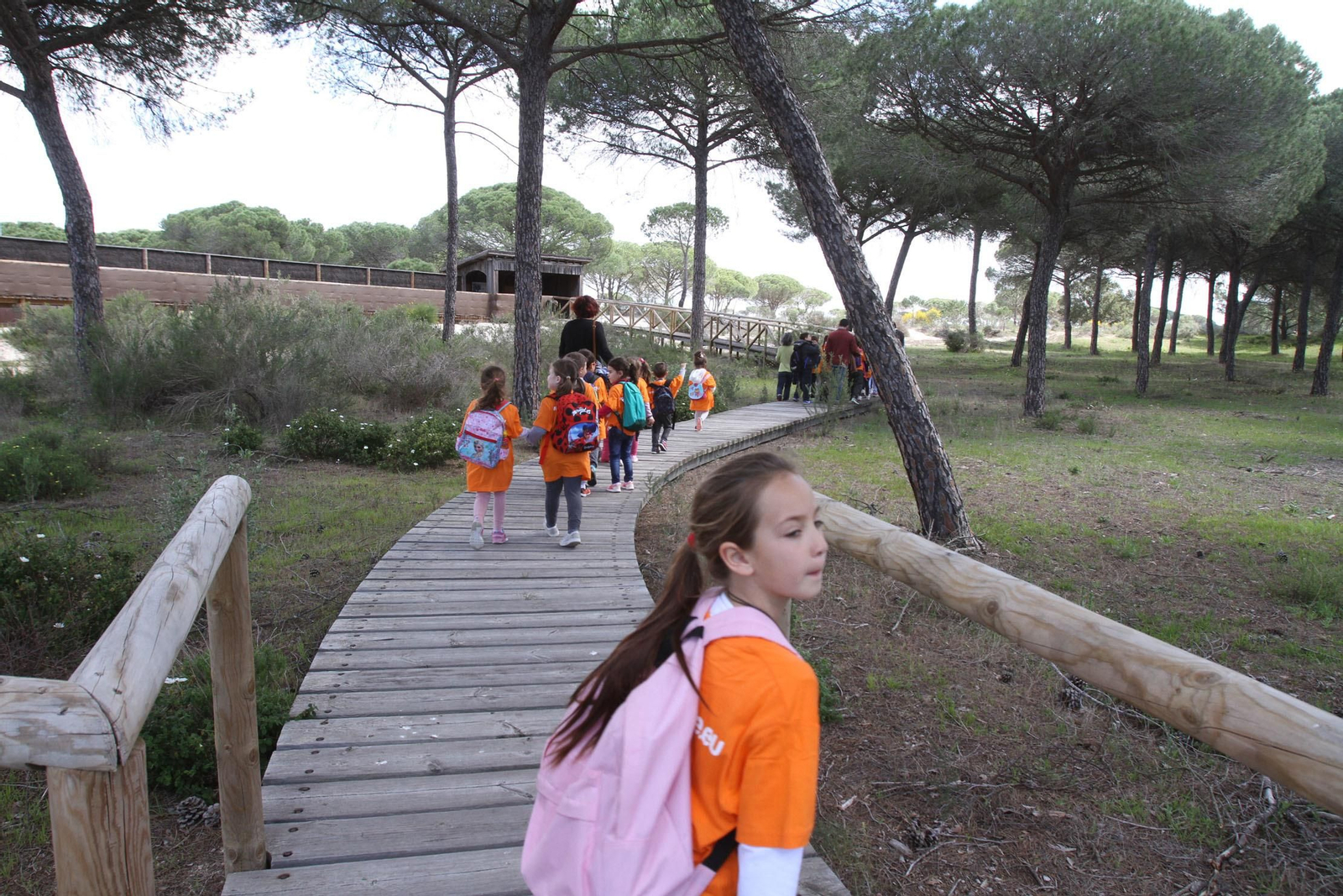 Susana Díaz inaugura en Doñana el Observatorio del Lince