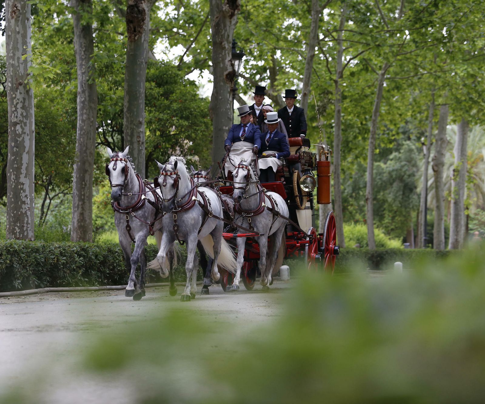 El concurso de enganches, en imágenes