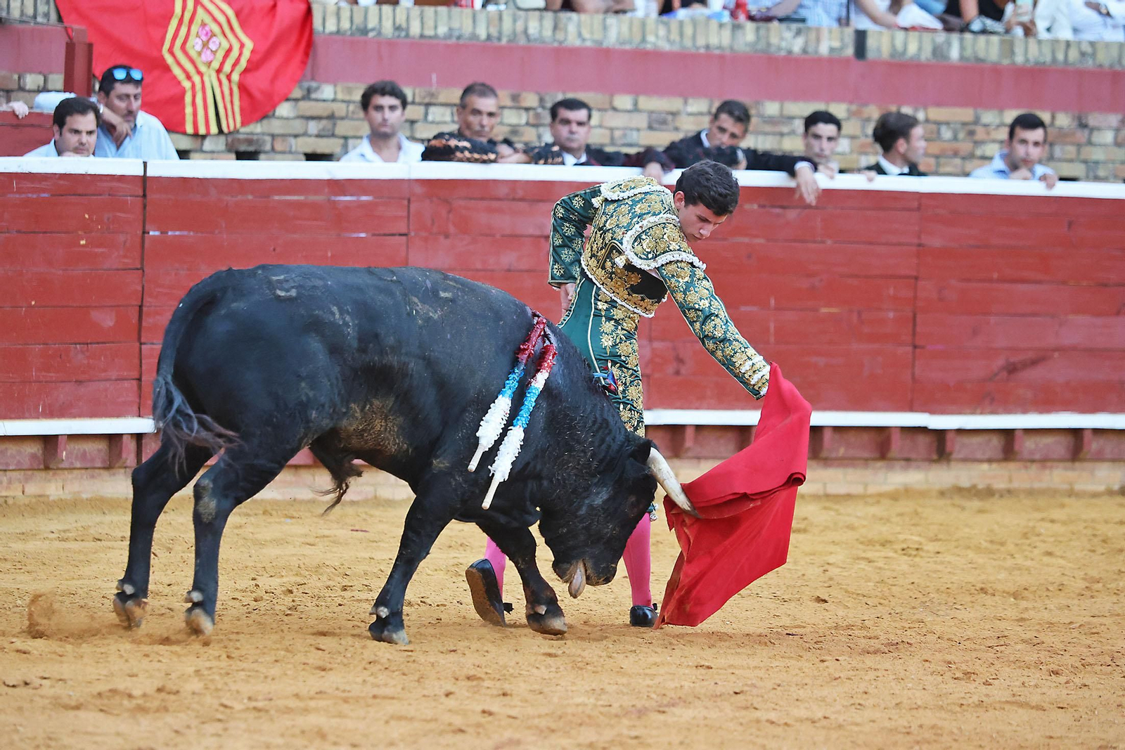 Toros La Merced 2024 Novillada con picadores(