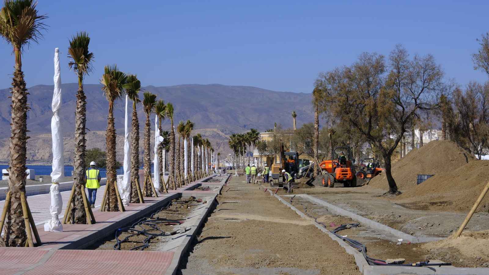 Palmeras plantadas, aunque el grueso de la jardinería vendrá ahora.