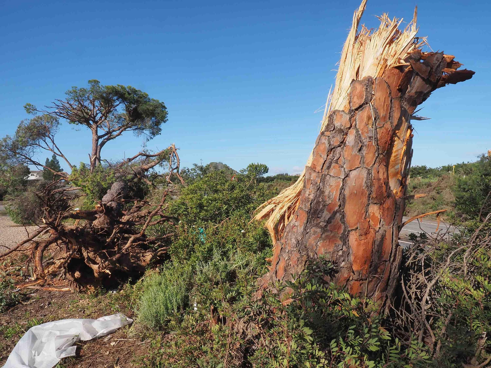 Imágenes de los daños causados por la violenta manga de viento en la provincia de Huelva