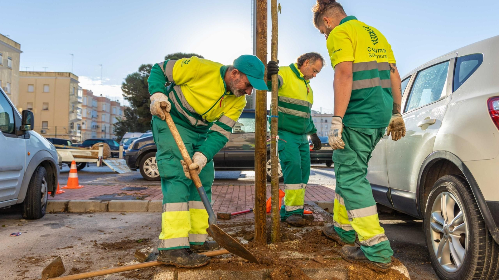 Plantación de árboles en San Fernando