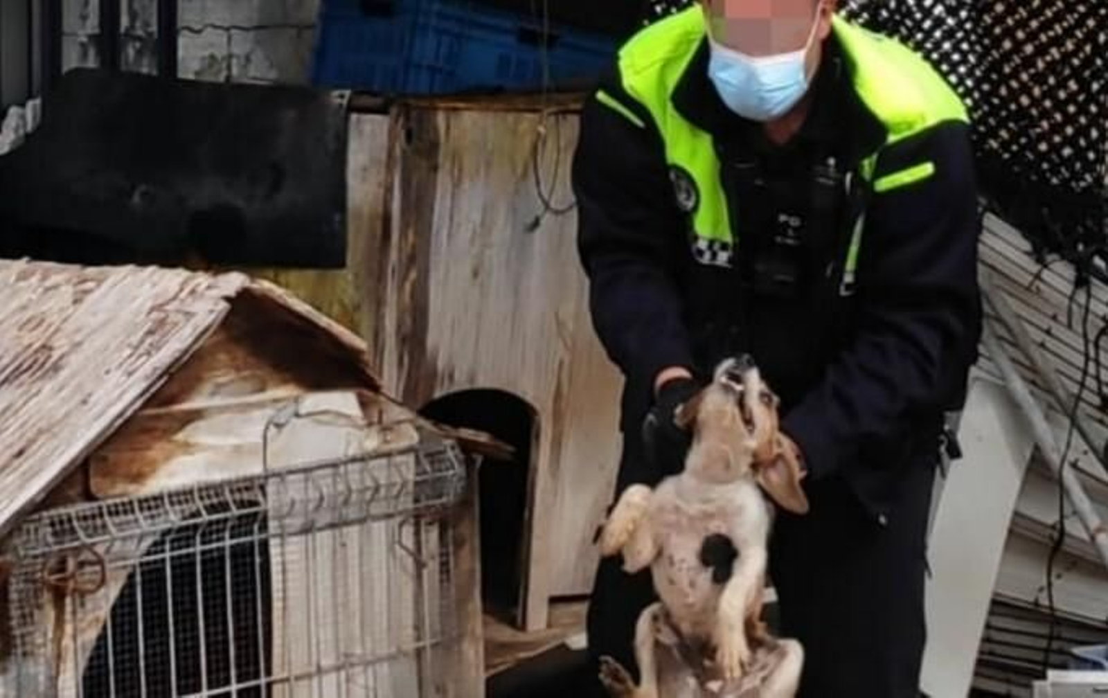 Una de las fotografías difundidas por la Policía Local de Chipiona.