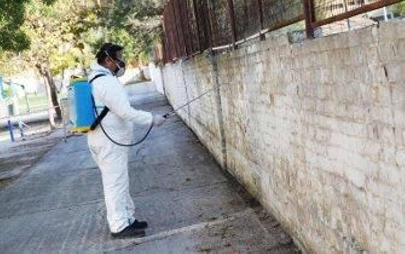 El Ayuntamiento de Jerez fumiga "pese a no tener competencias"