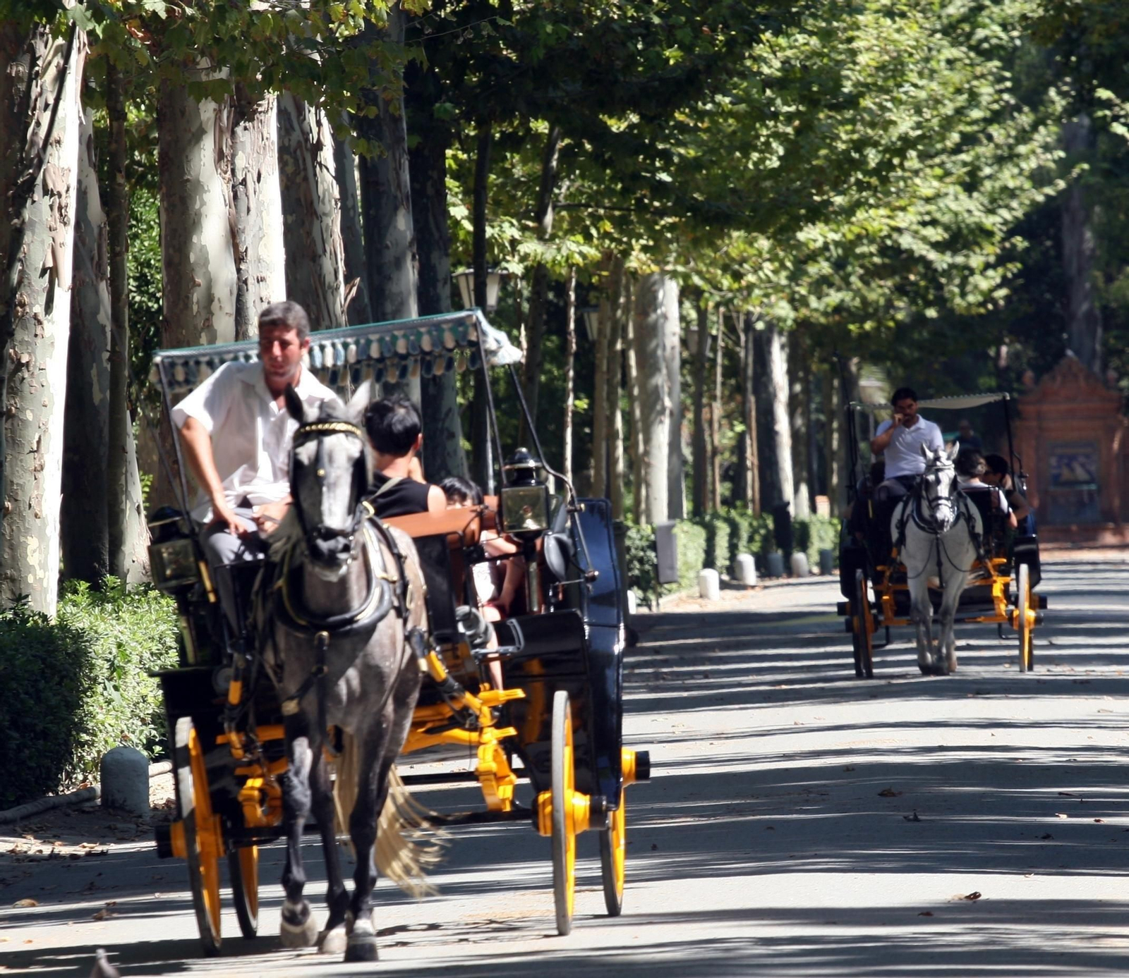 Imagen de un coche de caballos por el Parque de María Luisa
