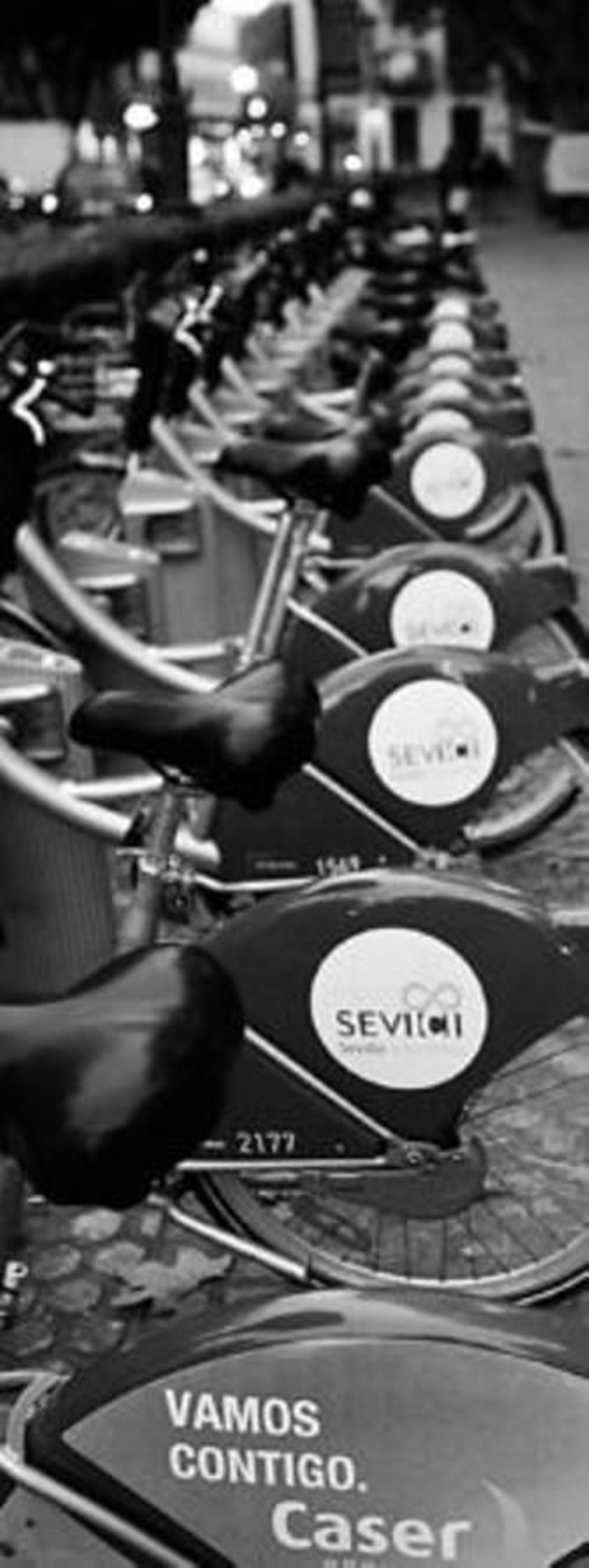 Hilera de bicicletas públicas de alquiler en la Magdalena.