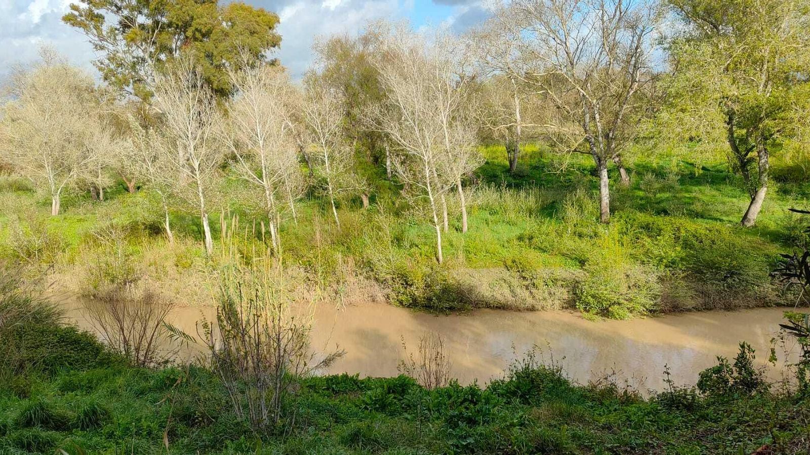 Río Guadalete a su paso por La Barca.