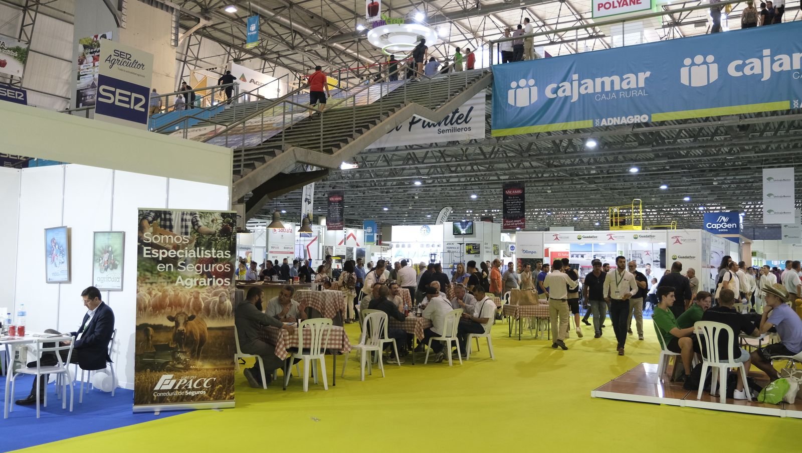 Imágenes de la Infoagro Almería 2023, en su segunda jornada
