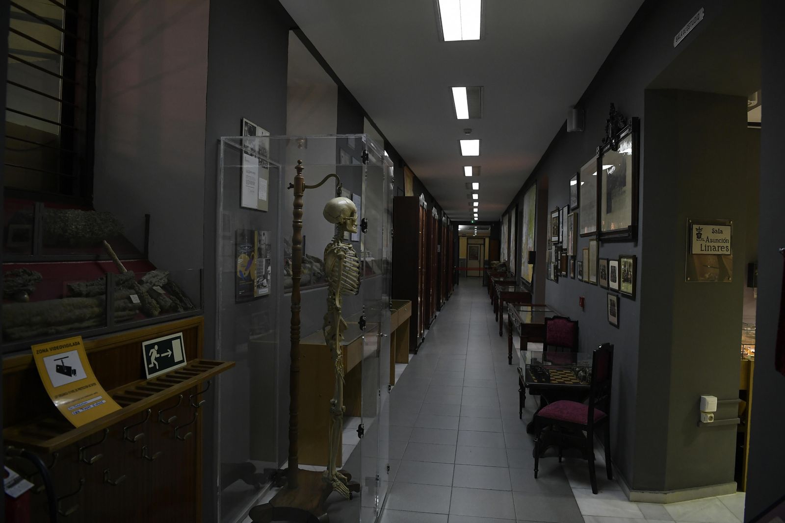 La inauguración del Museo de Ciencia del IES Padre Suárez de Granada, en imágenes