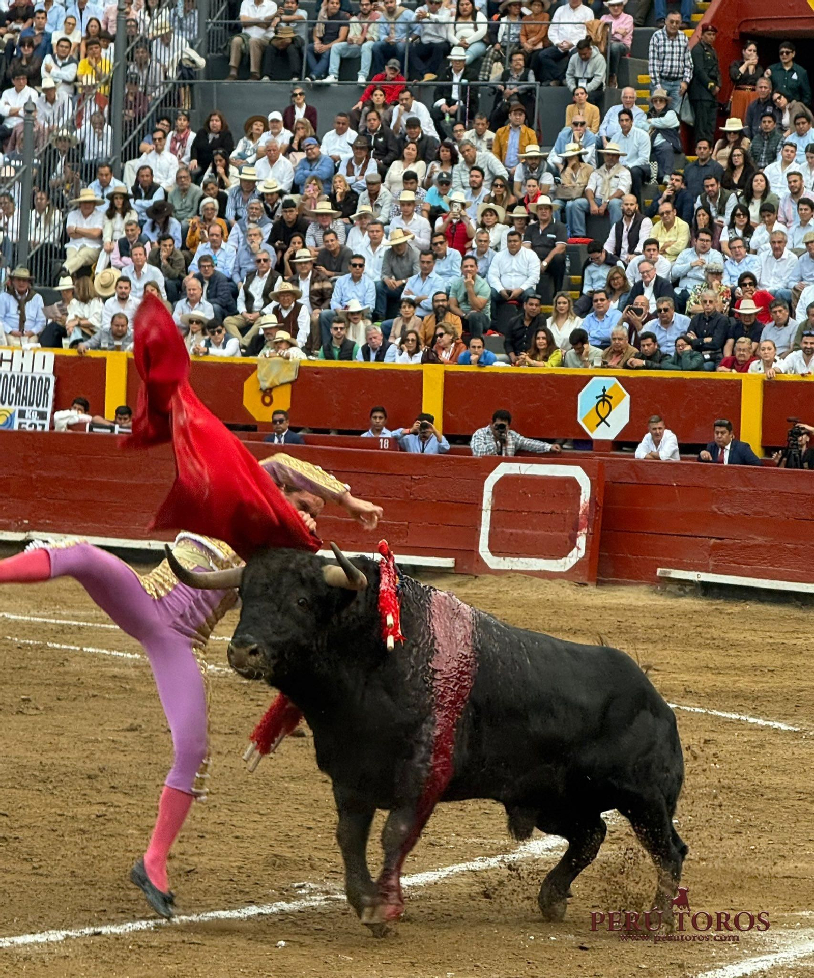 Cogida de David Galván, quien recibió una cornada seca en el muslo derecho al entrar a matar en la plaza de Lima.