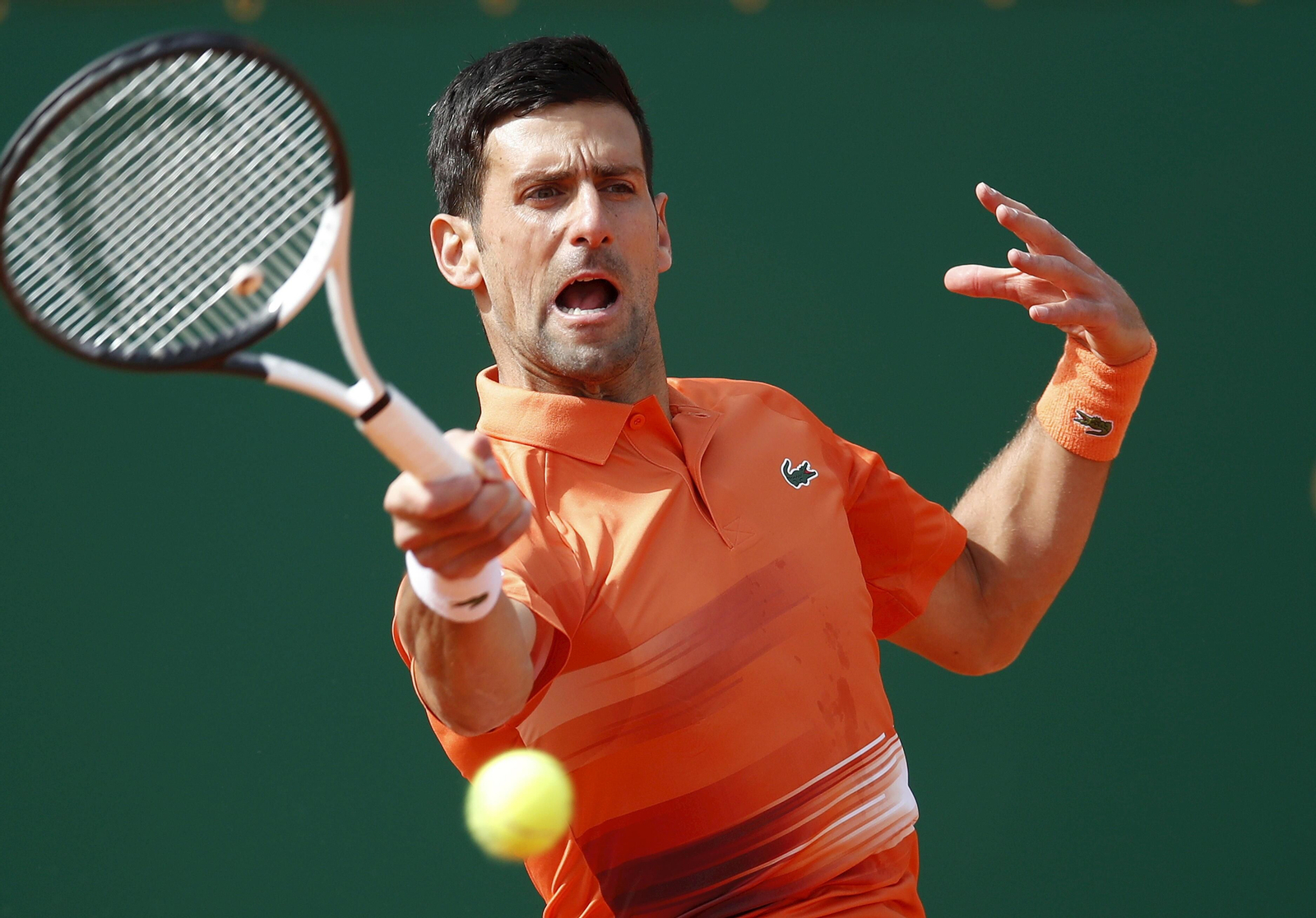 Las fotos del Djokovic-Davidovich