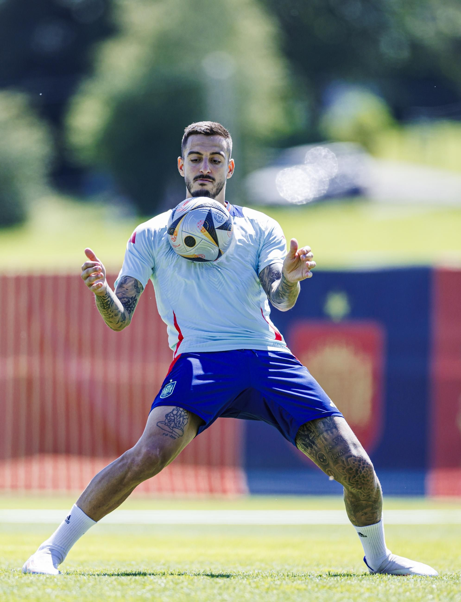Las fotos de España antes de la semifinal contra Francia
