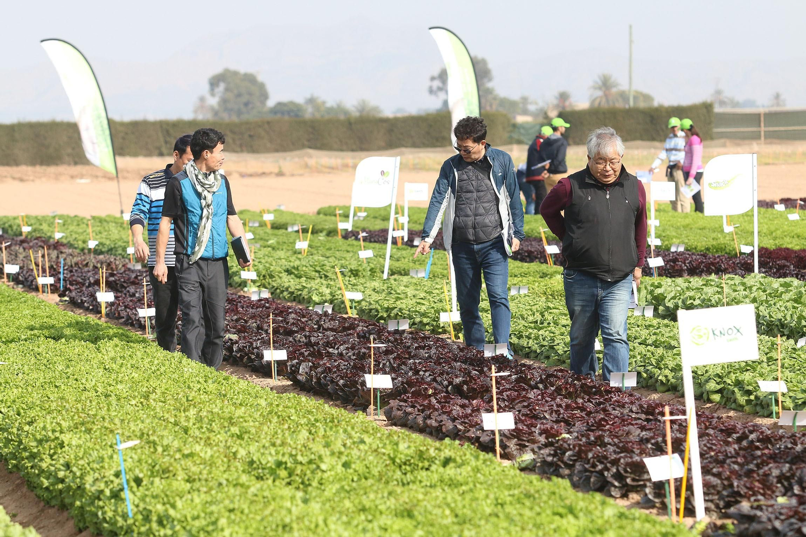 Fotogalería de las jornadas de puertas abiertas de Rijk Zwaan en Cartagena