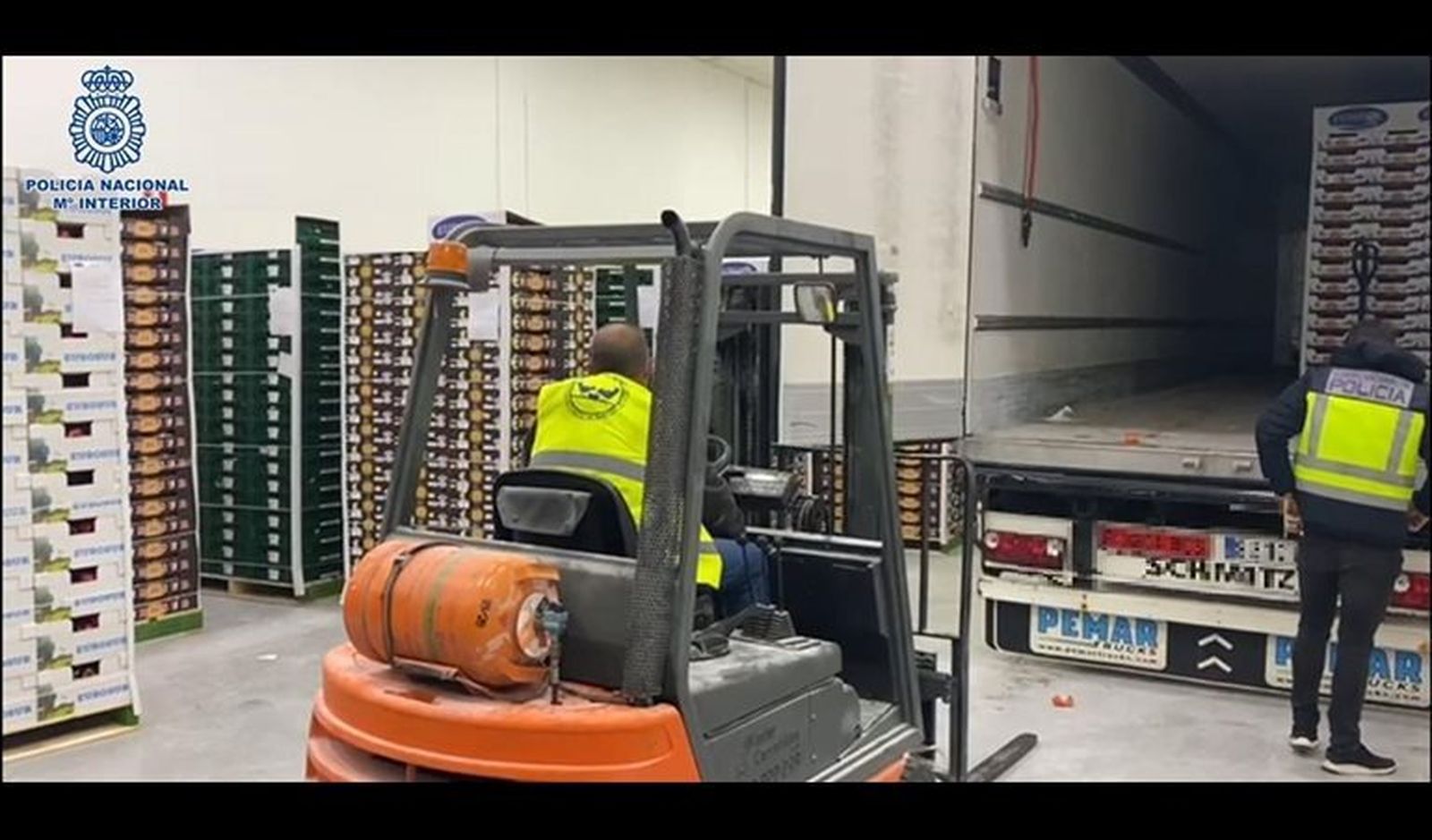 La verdura donada a un banco de alimentos