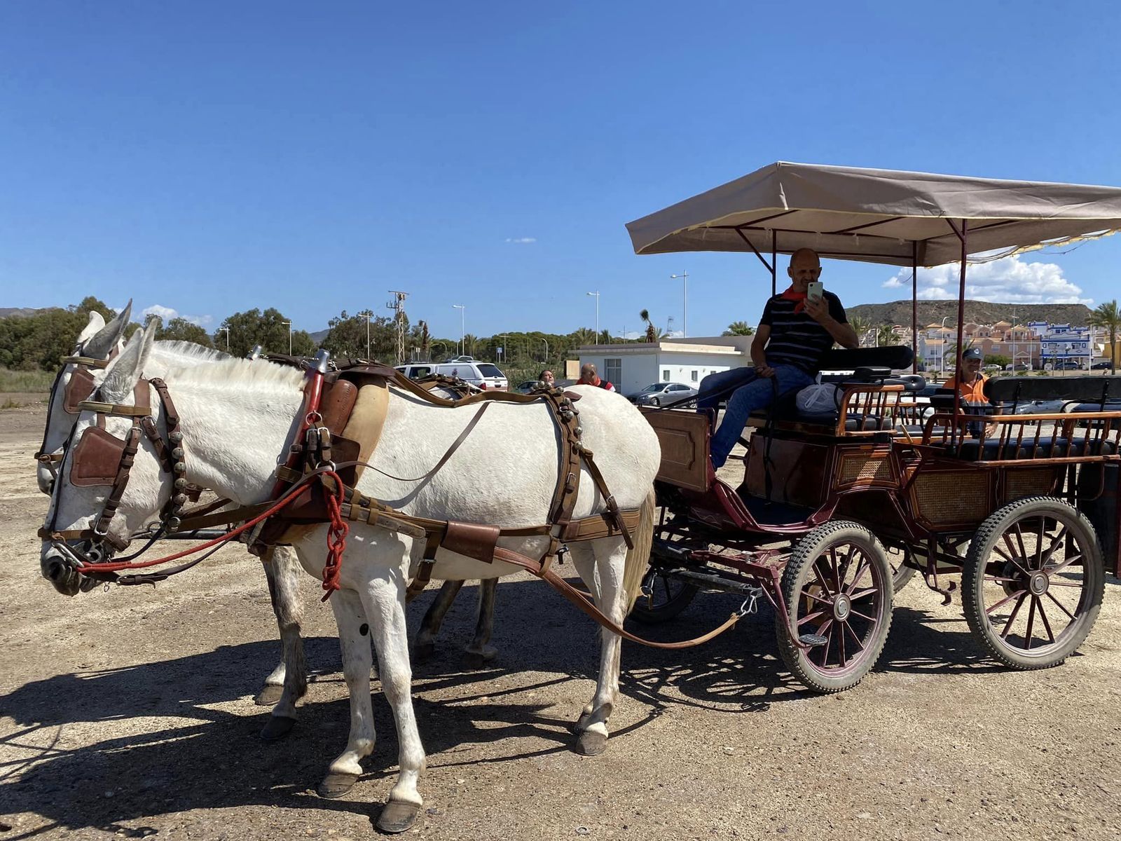 Encuentro de romeros y caballistas en Honor a la Virgen del Pilar de Jaravía