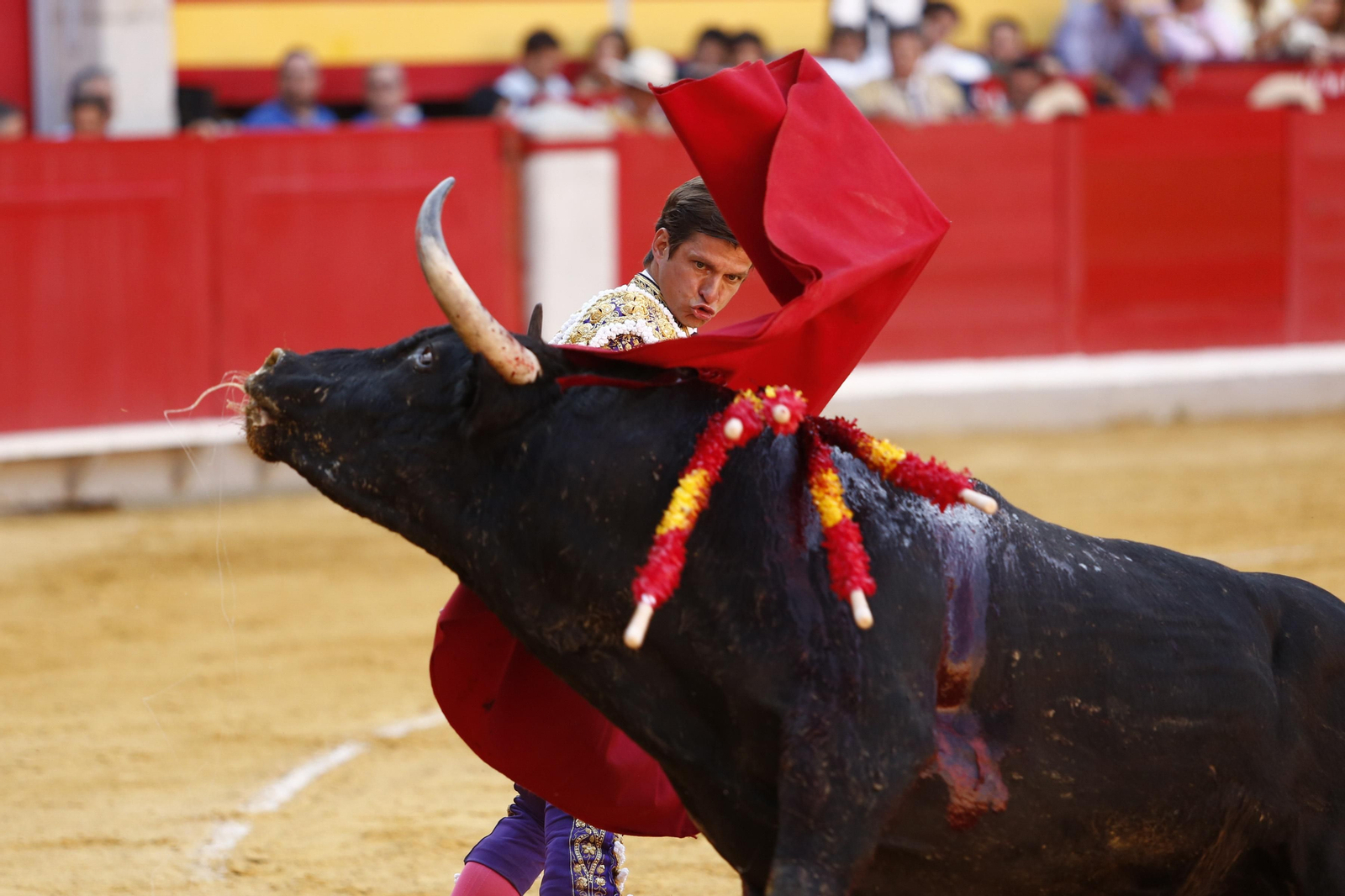 Las mejores imágenes de los toros en el Corpus